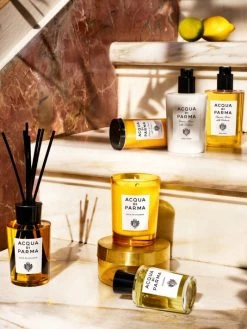 Acqua Di Parma Home La Casa Sul Lago Room Diffuser -Cheap ROYCE New York Store unnamed file 1006