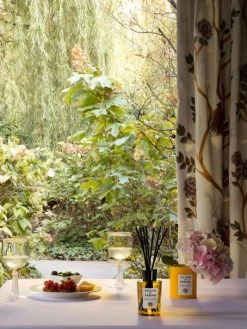 Acqua Di Parma Aperitivo In Terrazza Diffuser 7 Acqua Di Parma Aperitivo In Terrazza Diffuser -Cheap ROYCE New York Store unnamed file 1011