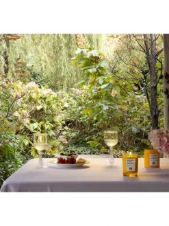 Acqua Di Parma Aperitivo In Terrazza Scented Candle 7 Acqua Di Parma Aperitivo In Terrazza Scented Candle -Cheap ROYCE New York Store unnamed file 1110