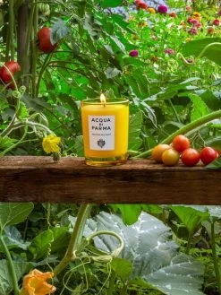 Acqua Di Parma Profumi Dell'orto Scented Candle -Cheap ROYCE New York Store unnamed file 1130