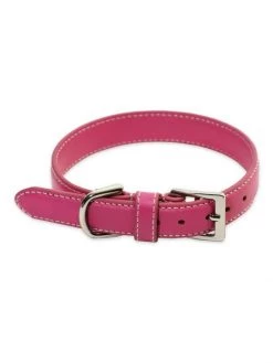 ROYCE New York Luxe Dog Collar