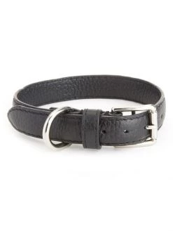 ROYCE New York Small Leather Dog Collar