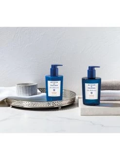 Acqua Di Parma Blu Mediterraneo Arancia Di Capri Hand Wash 5 Acqua Di Parma Blu Mediterraneo Arancia Di Capri Hand Wash -Cheap ROYCE New York Store unnamed file 801