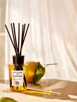 Acqua Di Parma Home Luce Di Colonia Room Diffuser -Cheap ROYCE New York Store unnamed file 814