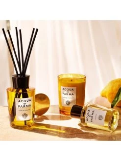 Acqua Di Parma Home Luce Di Colonia Room Diffuser -Cheap ROYCE New York Store unnamed file 815