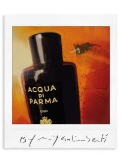 Acqua Di Parma Oud Eau De Parfum -Cheap ROYCE New York Store unnamed file 845