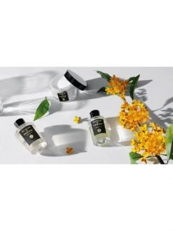 Acqua Di Parma Osmanthus Body Cream -Cheap ROYCE New York Store unnamed file 862