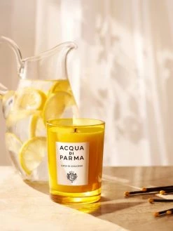 Acqua Di Parma Home Luce Di Colonia Scented Candle 6 Acqua Di Parma Home Luce Di Colonia Scented Candle -Cheap ROYCE New York Store unnamed file 923