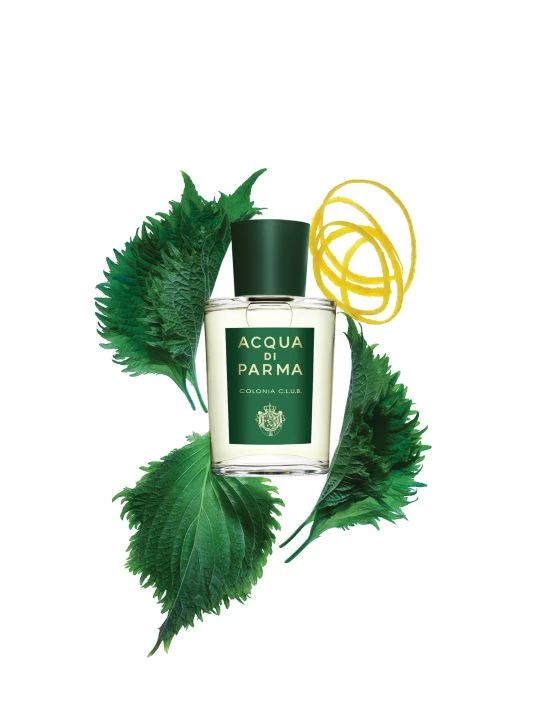 Acqua Di Parma Colonia C.L.U.B Eau De Cologne Fragrance For Men 2 Acqua Di Parma Colonia C.L.U.B Eau De Cologne Fragrance For Men - Image 2