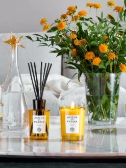 Acqua Di Parma Home Collection Insieme Candle 7 Acqua Di Parma Home Collection Insieme Candle -Cheap ROYCE New York Store unnamed file 972