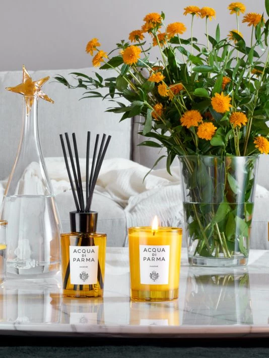 Acqua Di Parma Home Collection Insieme Candle 3 Acqua Di Parma Home Collection Insieme Candle - Image 3