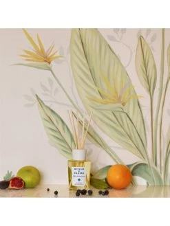 Acqua Di Parma Home/Blu Mediterraneo Mirto Di Panarea Room Diffuser -Cheap ROYCE New York Store unnamed file 985